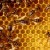 Group logo of Beekeeping